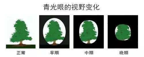 青2.jpg