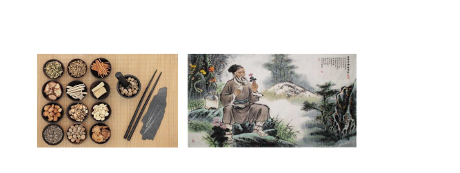 骨5.png